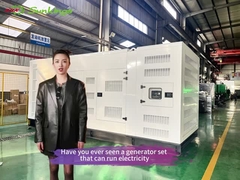 Guangdong Sunkings Electric Co., Ltd.